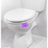 KALA Fresh Blitz Toilet Clip zawieszka zapachowa Mango